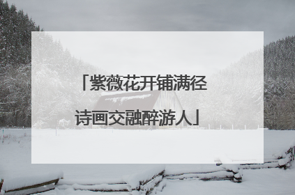 紫薇花开铺满径 诗画交融醉游人